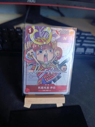 One piece 25th anniversary cinese