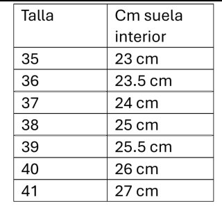 Sandalias pala plateadas T 36-41