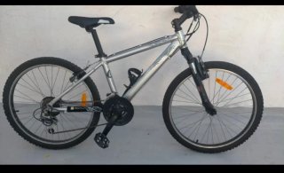 Bicicleta infantil plateada