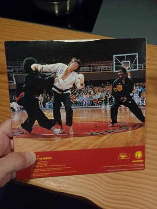 Ash Kung Fu 1995 Vinyl Vinilo 7 Single Como Nuevo