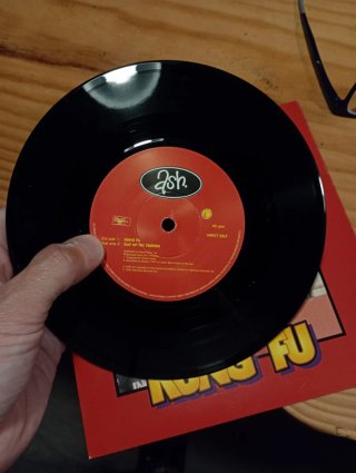 Ash Kung Fu 1995 Vinyl Vinilo 7 Single Como Nuevo