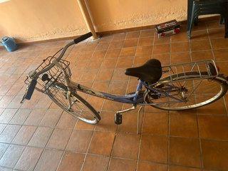 Bicicleta de paseo