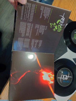 Lote 2 Vinilos 7" Ash Renegade y Starcrossed