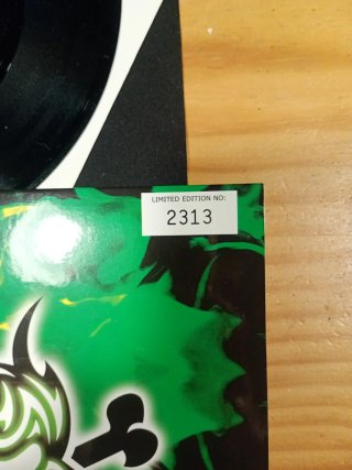 Lote 2 Vinilos 7" Ash Renegade y Starcrossed