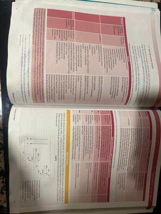 Lengua castellana y literatura, 2 Bachillerato
