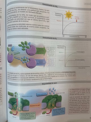 Biología 2o Bachillerato