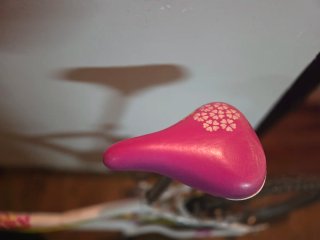 Bicicleta niña Decathlon 20 Btwin
