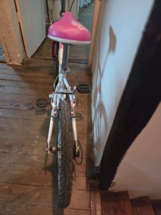 Bicicleta niña Decathlon 20 Btwin