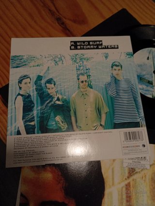 Ash lote 2 vinilos 7" goldfinger y Wild surf
