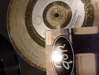 Ash lote 2 vinilos 7" goldfinger y Wild surf