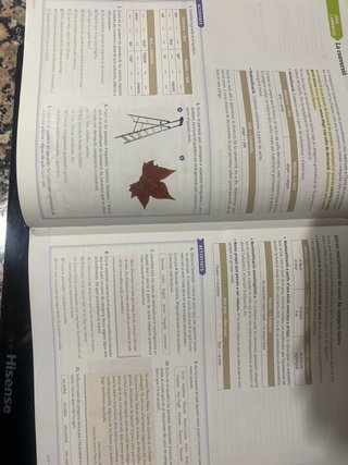 Llengua i literatura, 1 Batxillerat