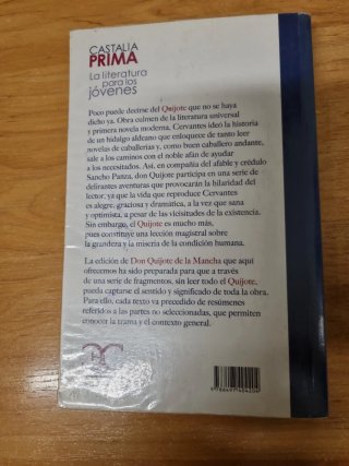 Libro de lectura, Don Quijote de la Mancha.