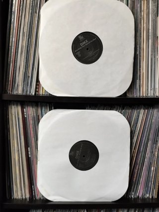 DMX - Flesh Of My Flesh, Blood Of My Blood 2LP