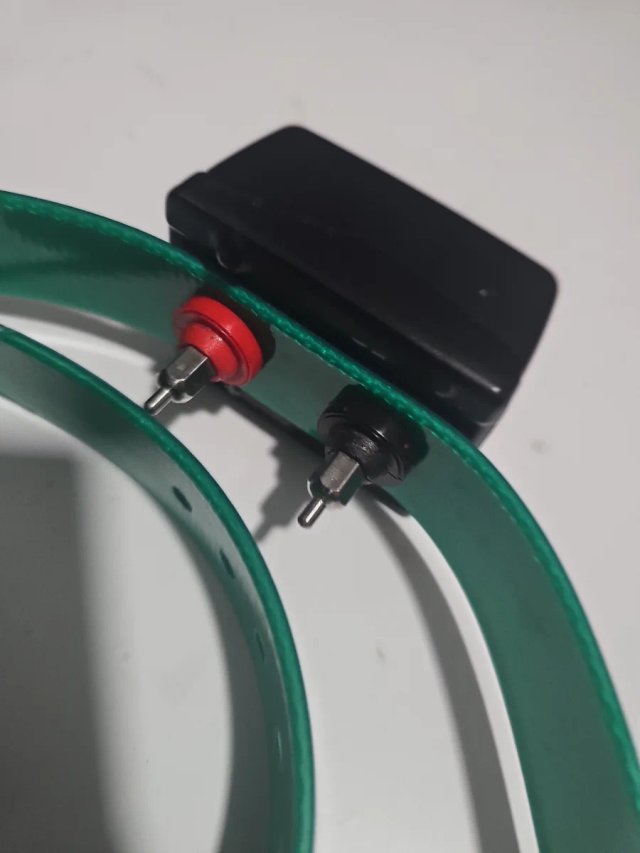 Pac valla eléctrica para perros antifugas