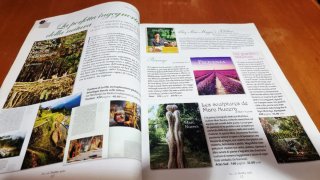 Rivista