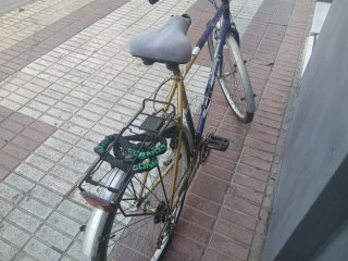 Bicicleta BH Paseo