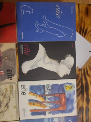 Eñe Revista para leer