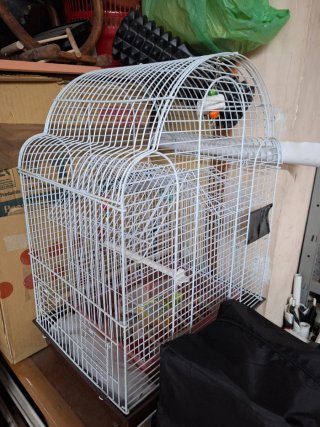 Jaulas para pájaros blancas (2)