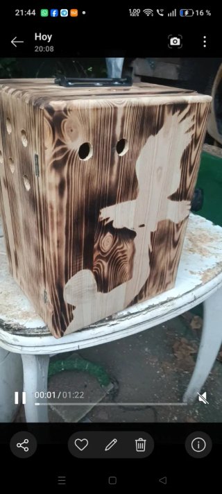 Caja transporte rapaces pequeñas