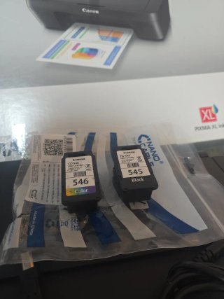 Stampante Canon Pixma MG2550S