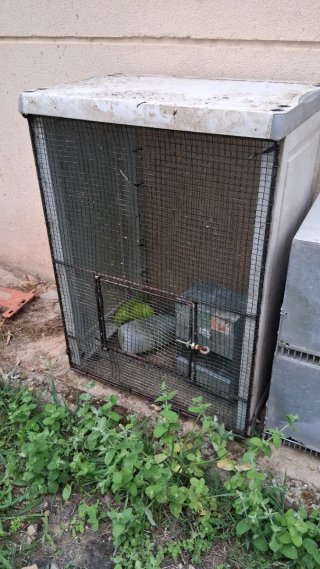 Jaula para perdices, palomas, codornices