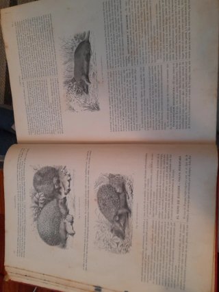 Historia natural. La creación A.Brehm