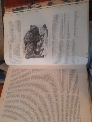 Historia natural. La creación A.Brehm