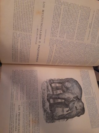 Historia natural. La creación A.Brehm