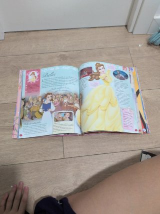 La Enciclopedia de las Princesas Disney