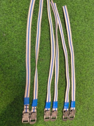 Correas Rastrales Campagnolo