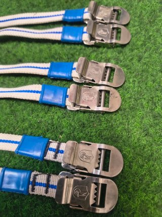 Correas Rastrales Campagnolo