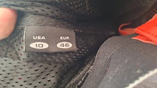 Pantalón Moto Alpinestars Cuero  talla 46