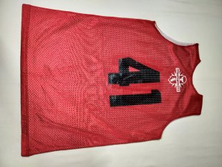 Camiseta Reversible Chicago Bulls Alleson Athletic