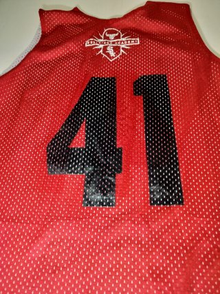 Camiseta Reversible Chicago Bulls Alleson Athletic