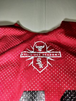 Camiseta Reversible Chicago Bulls Alleson Athletic