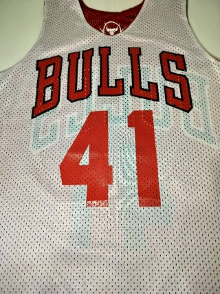 Camiseta Reversible Chicago Bulls Alleson Athletic