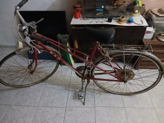 Bicicleta G.A.C. Antigua Completa