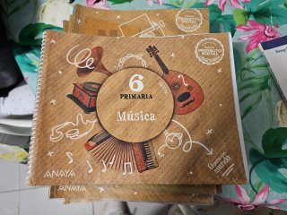 ÁLVAREZ LIMESES. LIBROS DE TEXTO DE 6° PRIMARIA