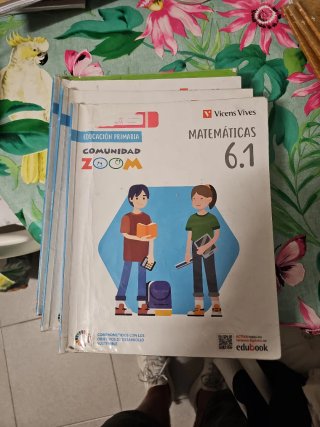 ÁLVAREZ LIMESES. LIBROS DE TEXTO DE 6° PRIMARIA