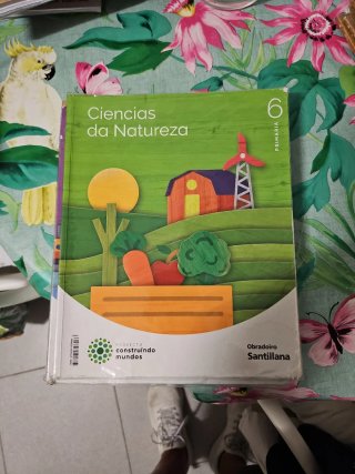 ÁLVAREZ LIMESES. LIBROS DE TEXTO DE 6° PRIMARIA