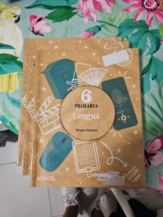 ÁLVAREZ LIMESES. LIBROS DE TEXTO DE 6° PRIMARIA