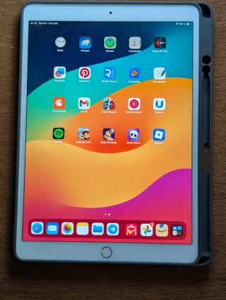 iPad Pro 10.5 64GB Plata