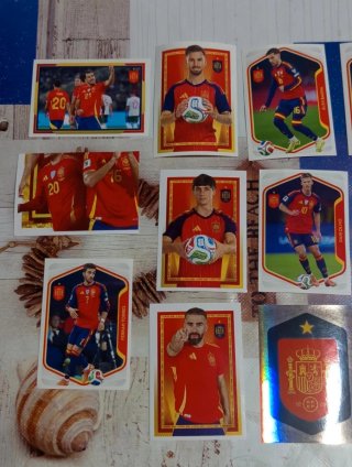 Lote 17 cromos selección española