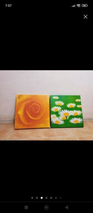 Cuadros decorativos. OFERTAAAAAAAA