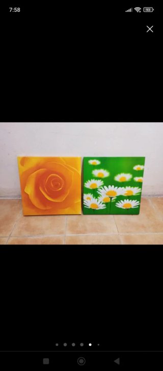 Cuadros decorativos. OFERTAAAAAAAA