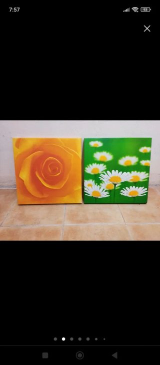 Cuadros decorativos. OFERTAAAAAAAA