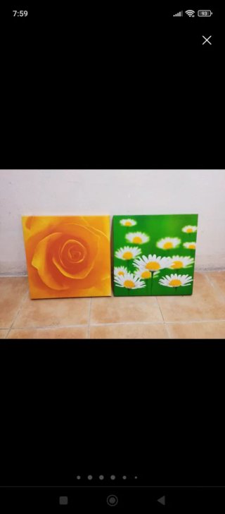 Cuadros decorativos. OFERTAAAAAAAA