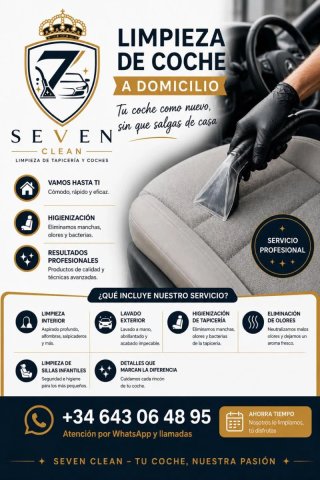 LIMPIEZA DE COCHES
