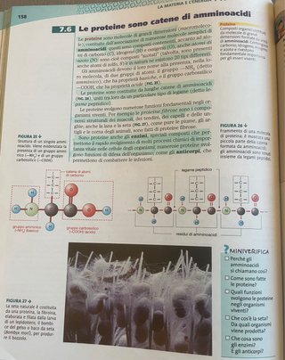 Linea scienze. Modulo A