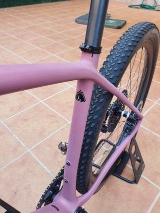 Bici Mtb Specialized Epic HT XX1